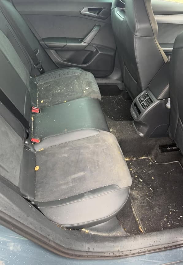 Cupra Formentor (before)